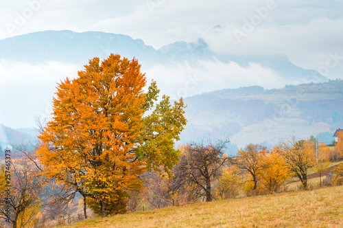 Amazing autumn sunset over the mountains in Poiana Marului