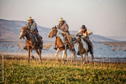 cowboy and horse  at first light,mountain, river and lifestyle with natural light background photo