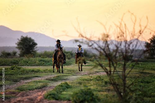 cowboy and horse  at first light mountain  river and lifestyle with natural light background