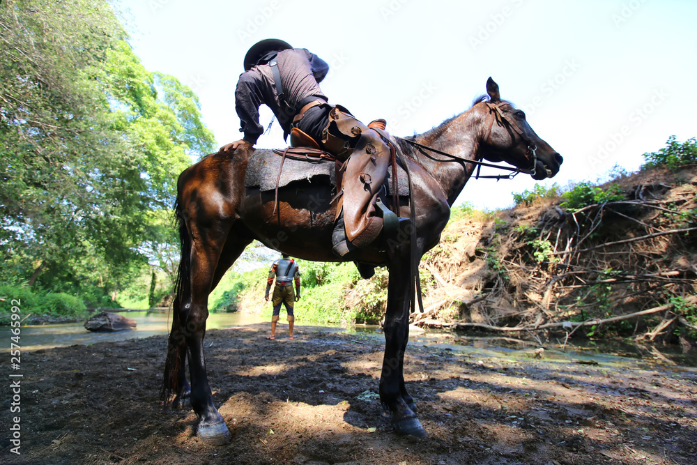 cowboy and horse at first light,mountain, river and lifestyle with natural light background cowboy and horse at first light,mountain, river and lifestyle with natural light background