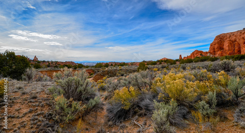 Kodachrome State Park Utah  Wide angle lens view of great desert landscape vista with rugged terrain  plants  and rocks