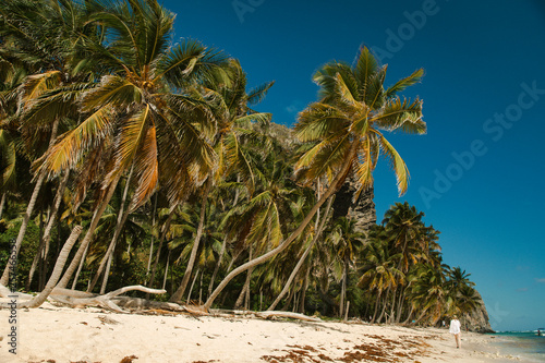 Fototapeta Naklejka Na Ścianę i Meble -  Fronton beach - Samana - Dominican Republic