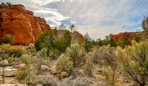 Fotografija Kochorme State Park Utah dearest plants and rocky cliffs, with soft painted filt