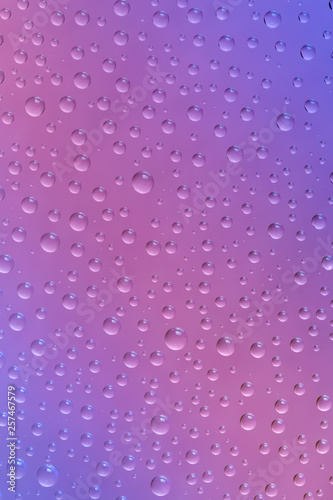 Beautiful water drops of the correct form on a gentle pink-purple background
