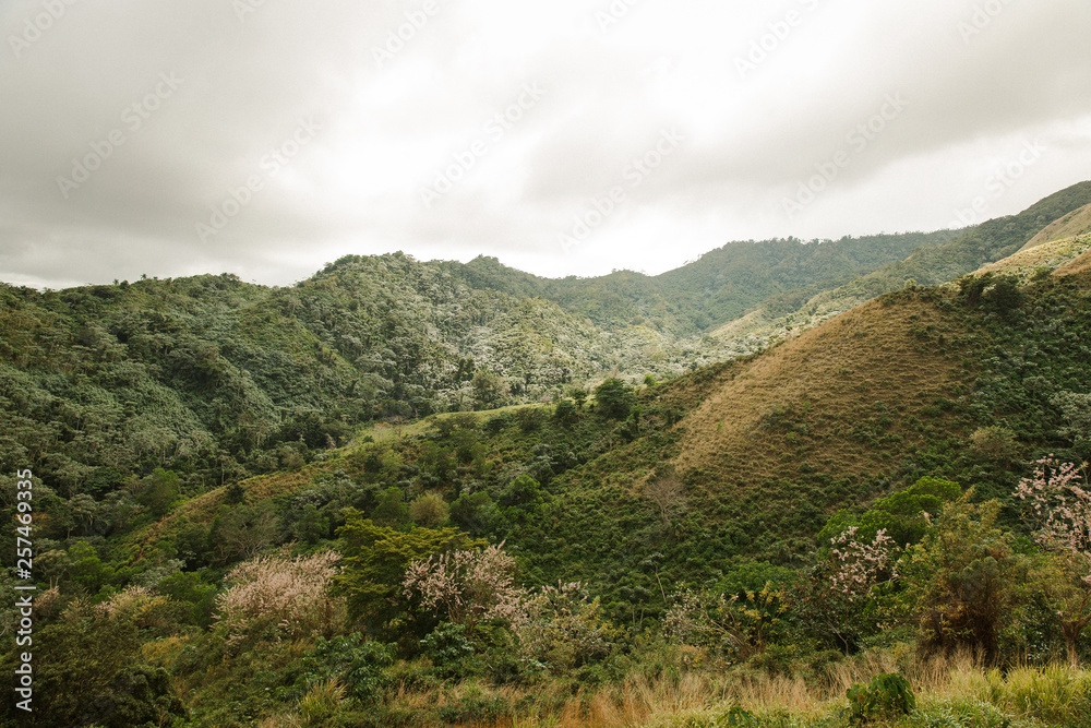 Naklejka premium Dominicana