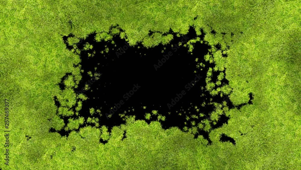Green Moss Covering the Screen Beautiful Animation. Growing Grass Process with Alpha Matte. Useful for Transitions. Spring Nature and New Life Concept. 4k Ultra HD 3840x2160