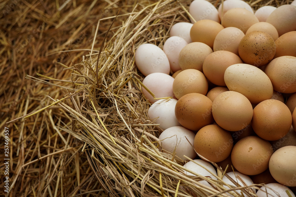 Stack of fresh egg on straw with copyspace background.
