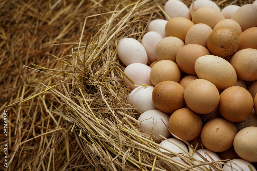 Stack of fresh egg on straw with copyspace background. Stack of fresh egg on straw with copyspace background.