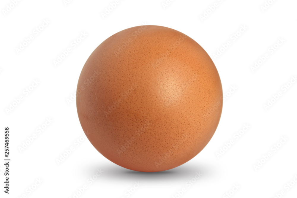 Egg isolated on white background,clipping path Egg isolated on white background,clipping path