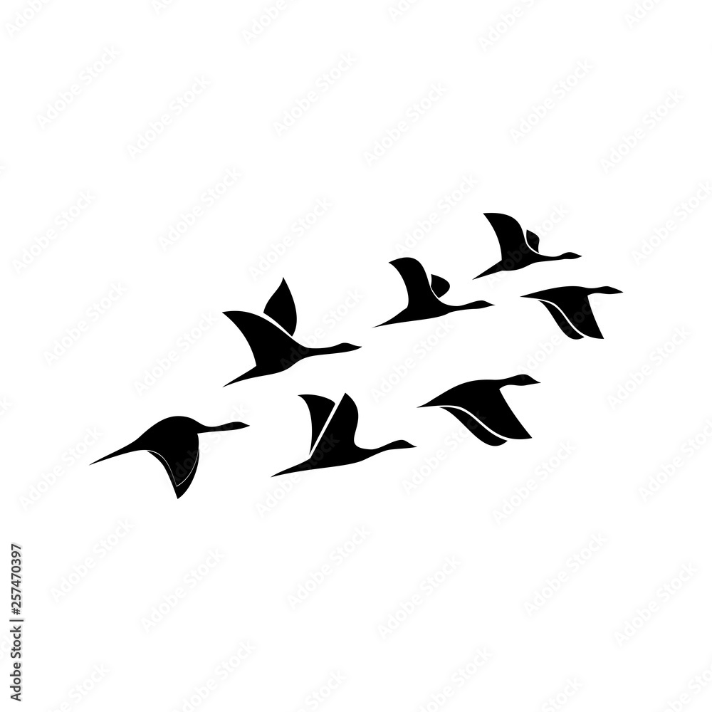Obraz premium goose flying silhouette vector art