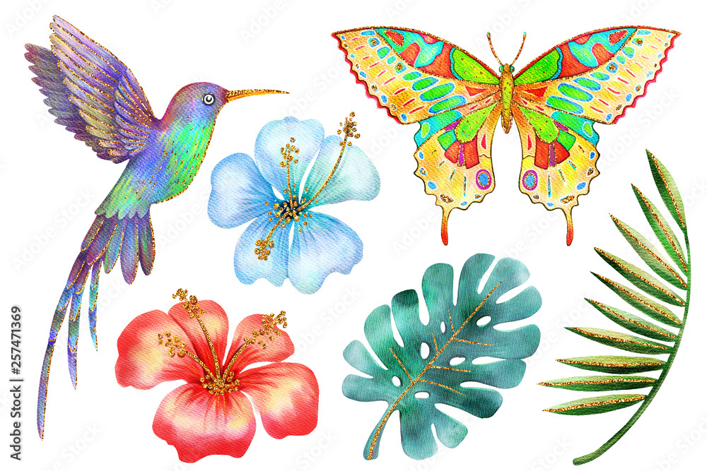 Watercolor and gold. Tropical flowers, leaves, hummingbird, butterfly set. Isolated on white background design elements