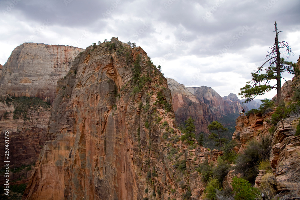 Hiker standing enjoys the view from Angel's Landing Trail, Zion National Park, Utah. Hiker standing enjoys the view from Angel's Landing Trail, Zion National Park, Utah.
