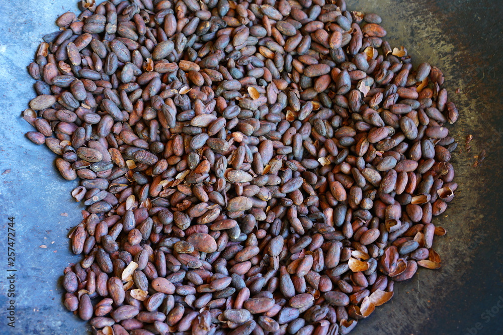 Obraz premium Roasting fresh cocoa beans in a large skillet in Costa Rica
