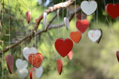 Love Hearts in a Tree © john photon