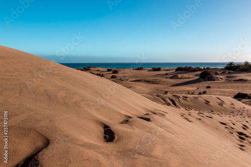 Maspalomas dunes