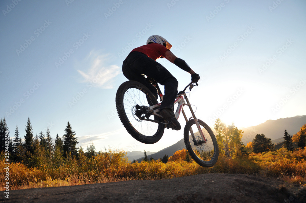 A mountain biker splashed in fall sun colors races down one of the many trails at Crested Butte Mountain Resort. A mountain biker splashed in fall sun colors races down one of the many trails at Crested Butte Mountain Resort.