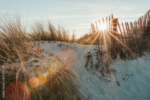 Fototapeta Naklejka Na Ścianę i Meble -  French landscape - Bretagne. Sunset with dunes and grass.