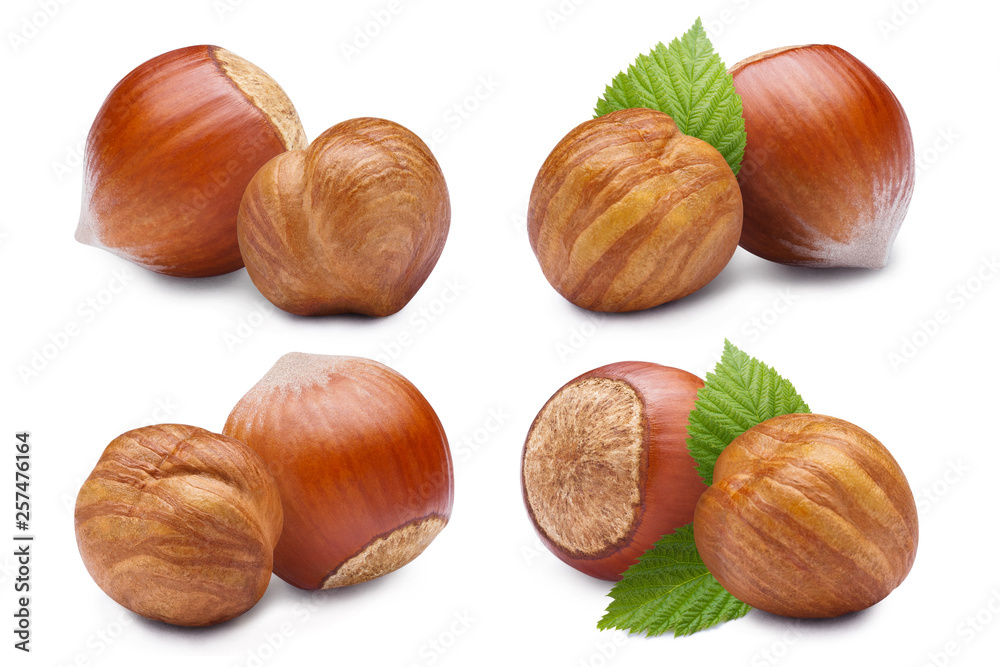 Set of hazelnuts, isolated on white background Set of hazelnuts, isolated on white background
