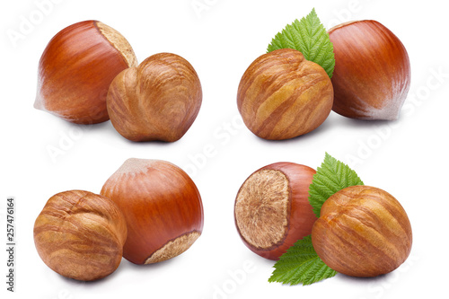 Set of hazelnuts, isolated on white background