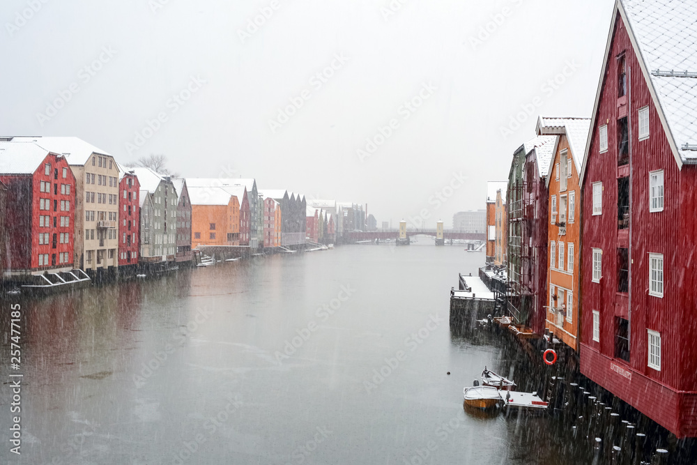 Naklejka premium Snowfall in Trondheim, Norway