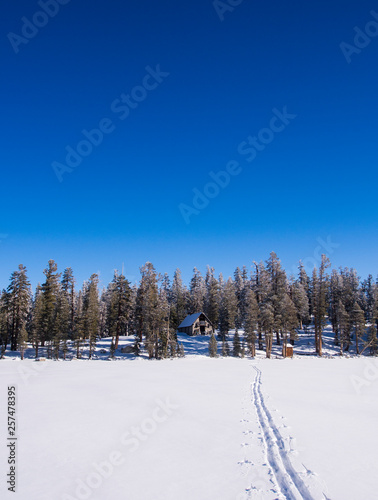 Ski tracks leading toward the Ostrander Hut.  The Ostrander Hut is the the premiere back country ski hut in the Sierra Nevada range, located 10 miles into the Yosemite Backcountry accessable only by skis or snowshoes, Yosemite National Park, California photo