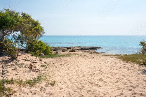 Crystal clear waters and sandstone rocks of the Mediterranean Sea  Cyprus. Tropical sea bay landscape  beach coastline