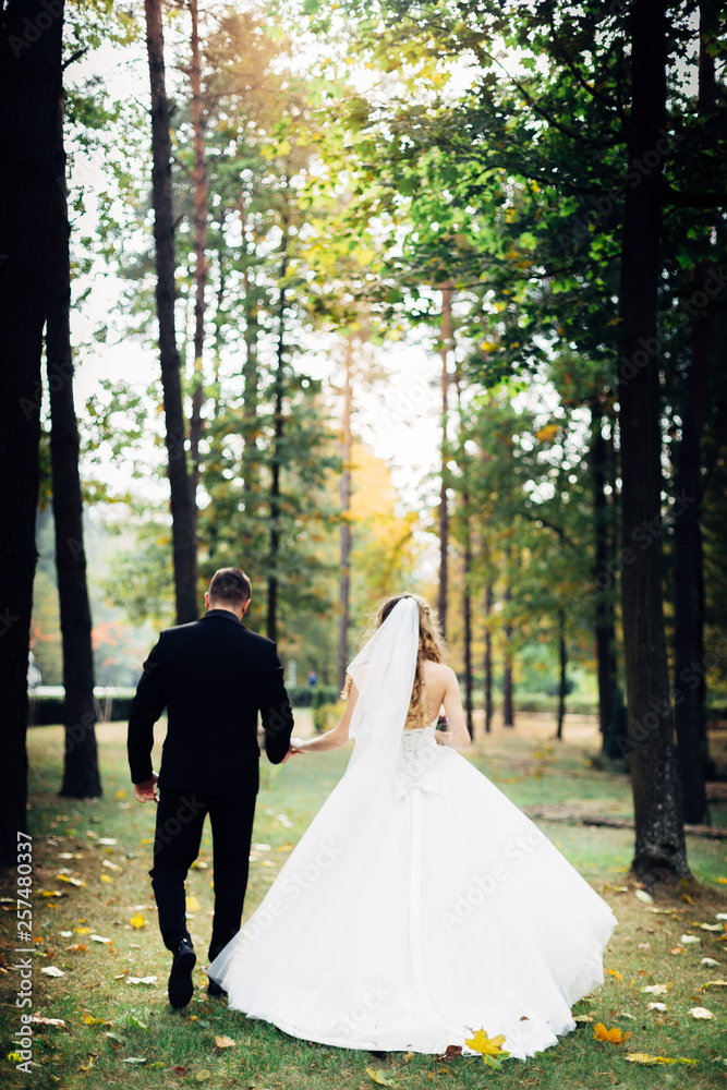Great portrait of a wedding couple, which is walking in the park. Great portrait of a wedding couple, which is walking in the park.