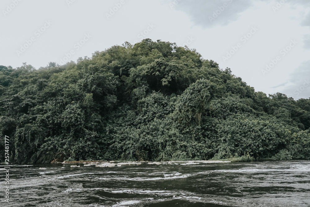 Fototapeta premium Landscape in Murchison Falls