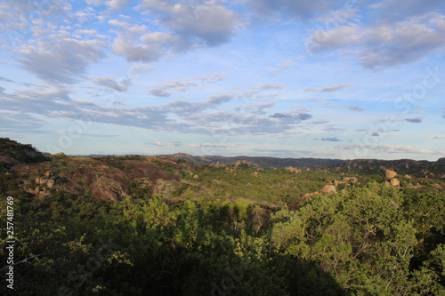 landscape savana  zimbabwe