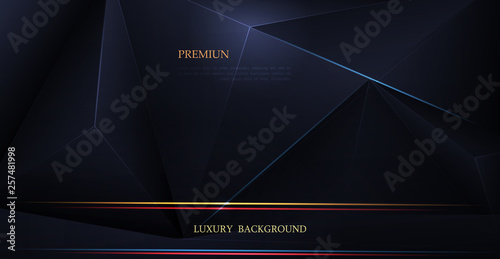 Vector low polygon silver, black premium background. Abstract luxury polygonal and silver, gold dark blue triangle line design for the cover, wallpaper. Illustration low poly pattern, gradient color