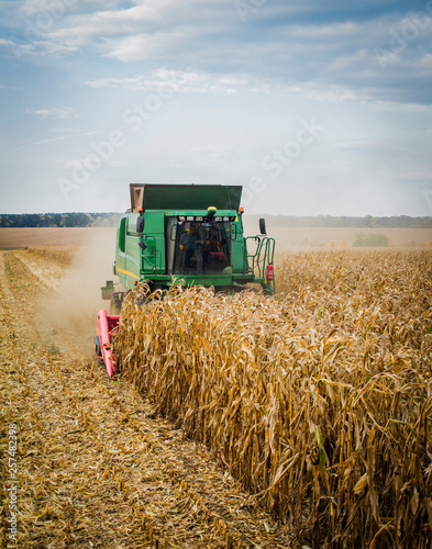 Fall wheat harvest