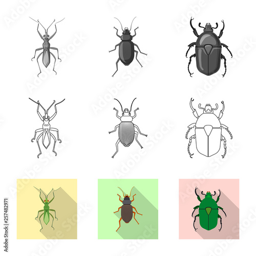 Vector design of insect and fly sign. Set of insect and element stock symbol for web. © Svitlana