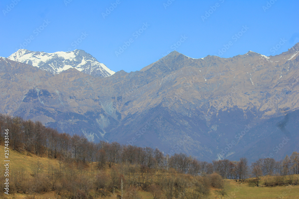 panorama with mountains and forest