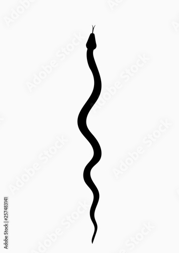 Fotografie, Obraz Black silhouette snake