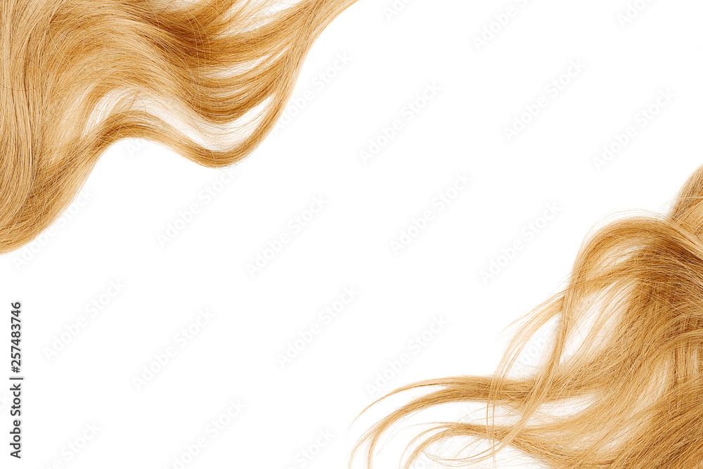 Natural blond hair isolated on white. Background