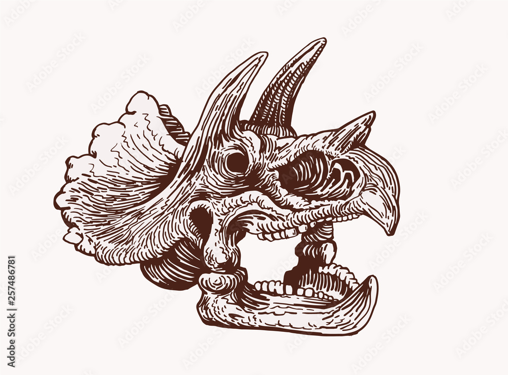 Image result for triceratops tattoo  Dinosaur tattoos Animal skull tattoos  Skull tattoo flowers