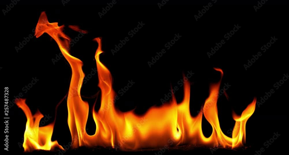 Natural Fire Practical Compositing Elements Natural Fire Practical Compositing Elements