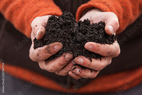 Two cupped hands holding black soil photo