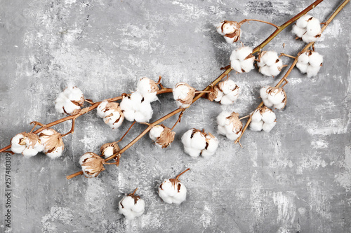 Tree branch with cotton flowers on grey wooden table