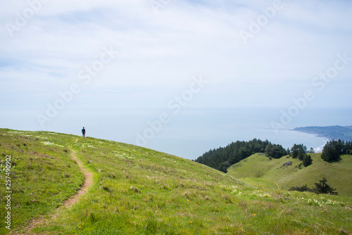 View of meadow on top of Mount Tamalpais, San Francisco, Marin County, California, USA photo