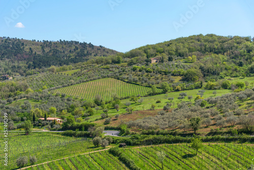 Amazing springtime colorful landscape in Chianti, Tuscany. Italy