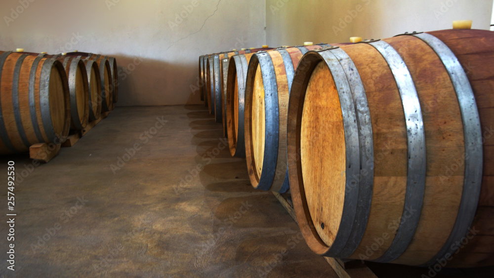 Wine barrels in a wine cellar