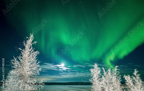 Aurora borealis over Tibbitt Lake, Yellowknife, Northwest Territories, Canada photo