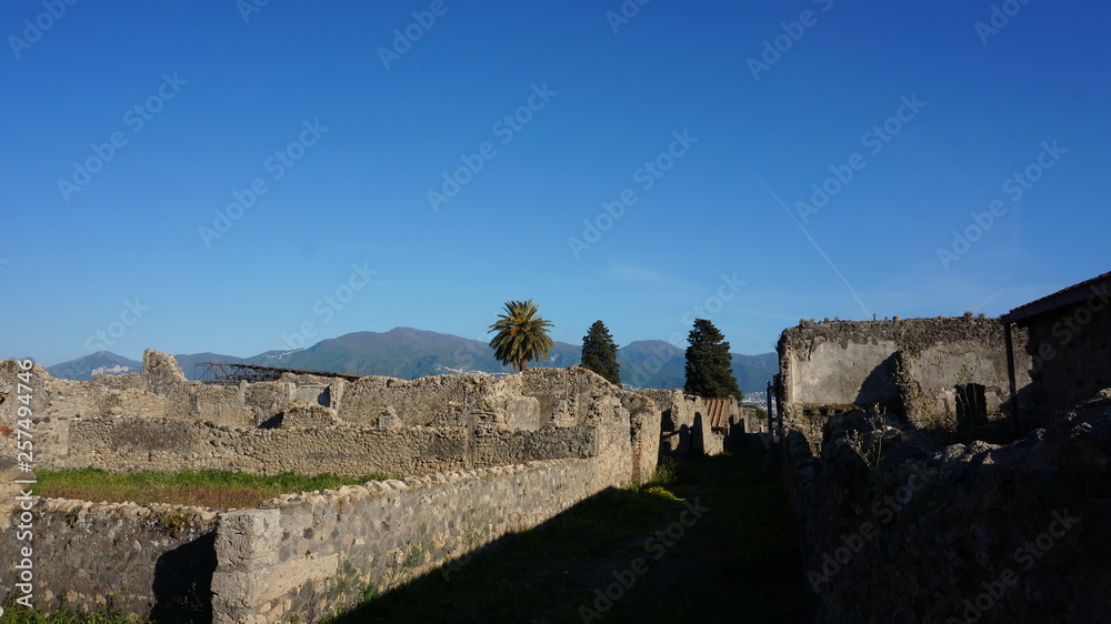 Italy. Ancient Pompeii (UNESCO World Heritage Site).