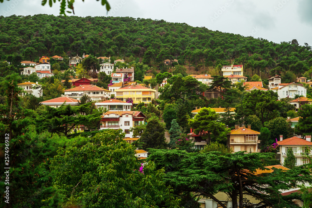Obraz premium The picturesque streets of the island Buyukada.