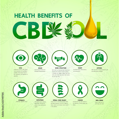 Cannabis benefits for health vector illustration.
