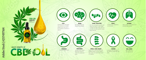 Cannabis benefits for health vector illustration.