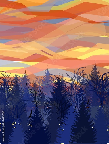 Sunset on Pine Trees