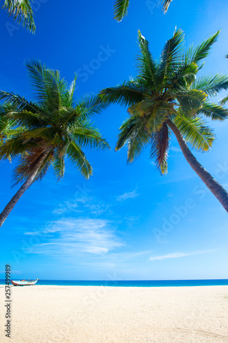 Fototapeta Naklejka Na Ścianę i Meble -  tropical beach in Sri Lanka . Summer holiday and vacation concept for tourism.