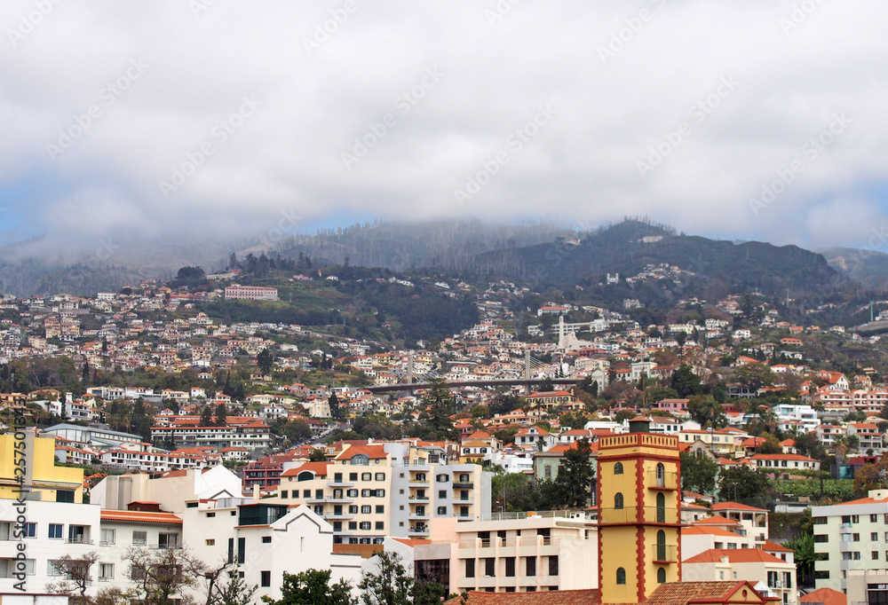 a panoramic cityscape view of funchal showing buildings of the town center and houses running up the mountains to trees and sky